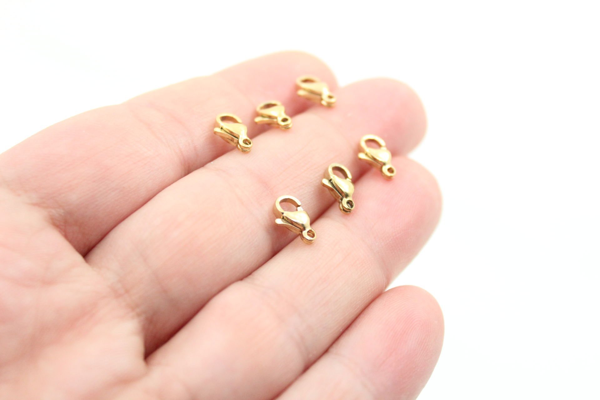 Çelik Küçük Papağan