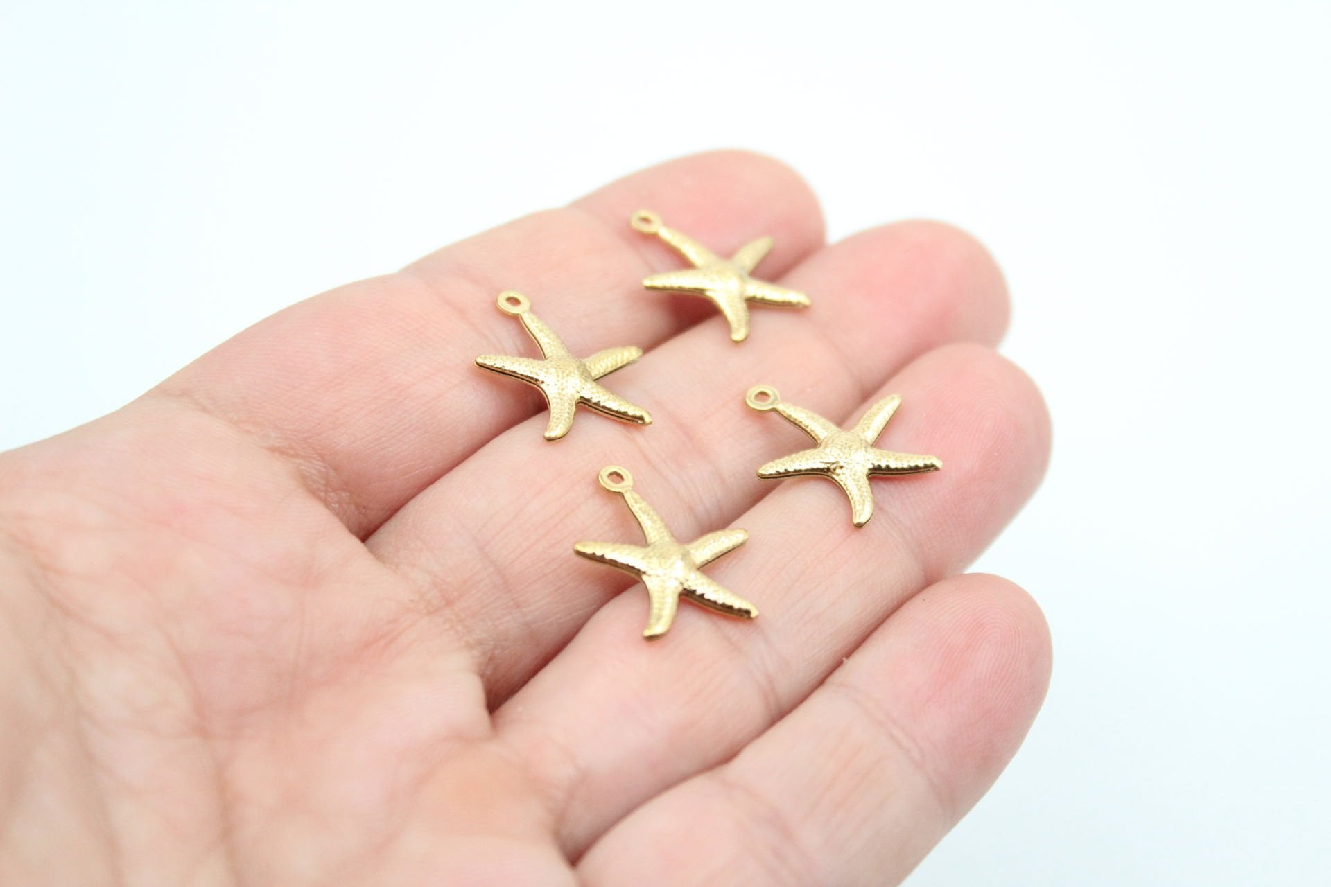 Çelik Deniz Yıldızı Kolye Ucu