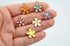 Altın Kap. Küçük Papatya