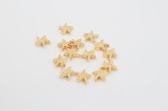 Altın Kap. Deniz Yıldızı 10gr