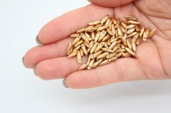Spear Boncuk Mat Altın 25gr