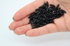 Spear Boncuk Siyah 25gr