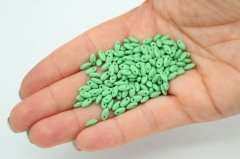 Rice Boncuk Yeşil 25gr