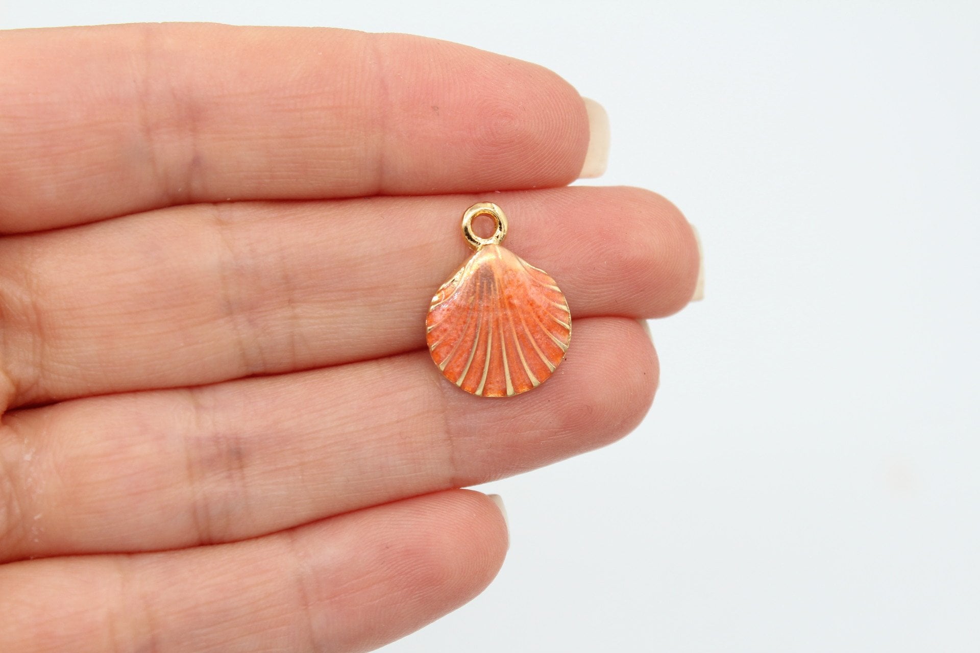 Altın Kap. Mineli Deniz Kabuğu