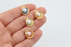 Altın Kap. İncili İstiridye