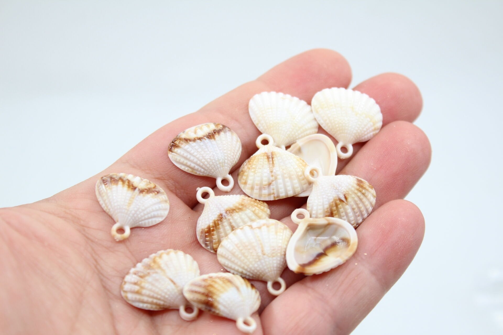 Plastik Kulplu Deniz Kabuğu