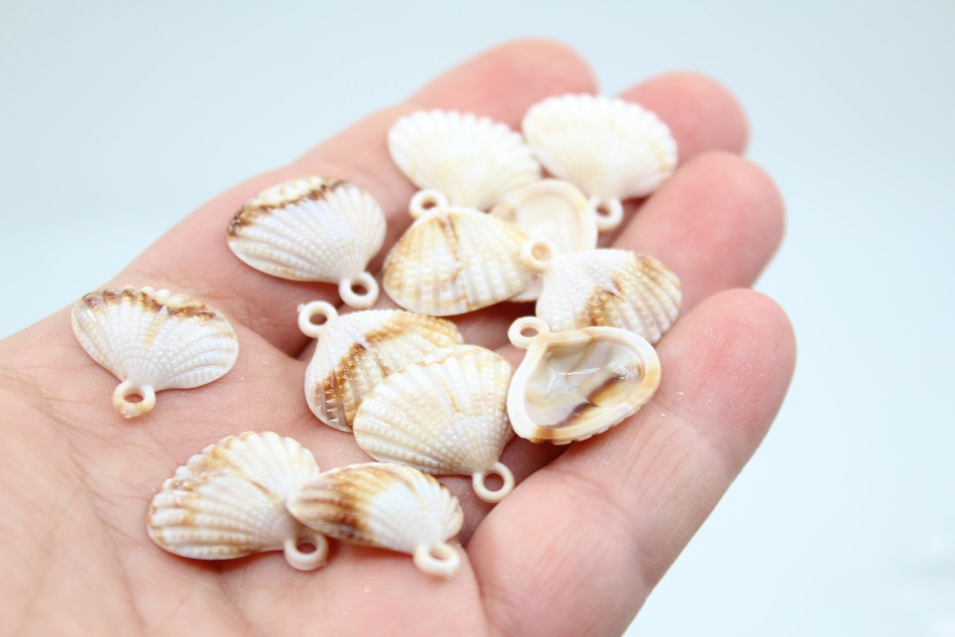 Plastik Kulplu Deniz Kabuğu
