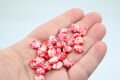 Cam İstiridye Mix Pembe