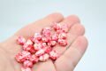 Cam İstiridye Mix Pembe