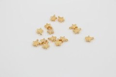 Altın Kap. Sallantı Yıldız 10gr